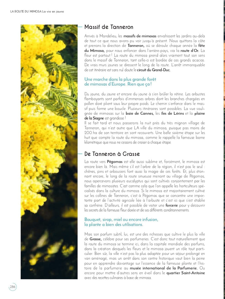 Guide de voyage - France : Road trips en van guide de voyage Dilibel 