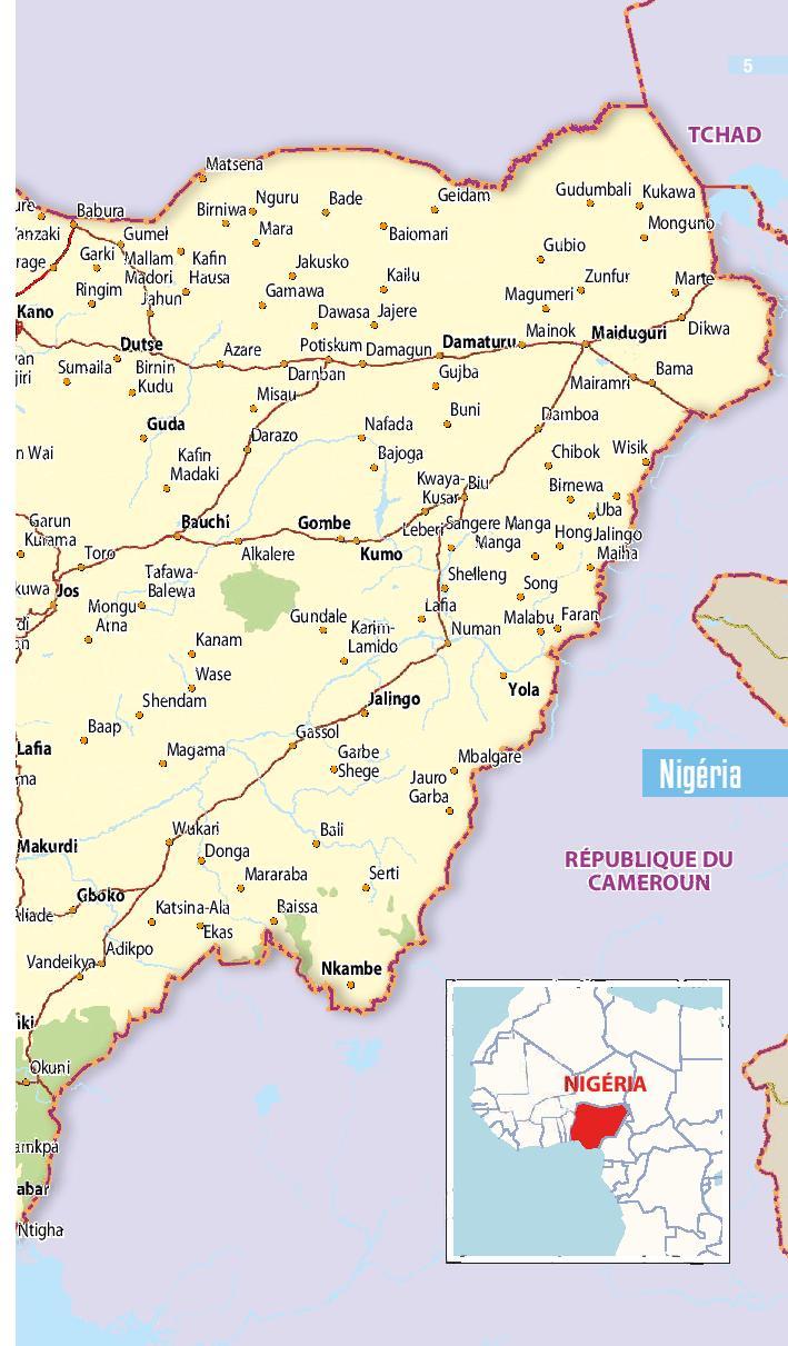 Guide de voyage - Nigéria 2020 | Petit Futé guide de voyage Petit Futé 