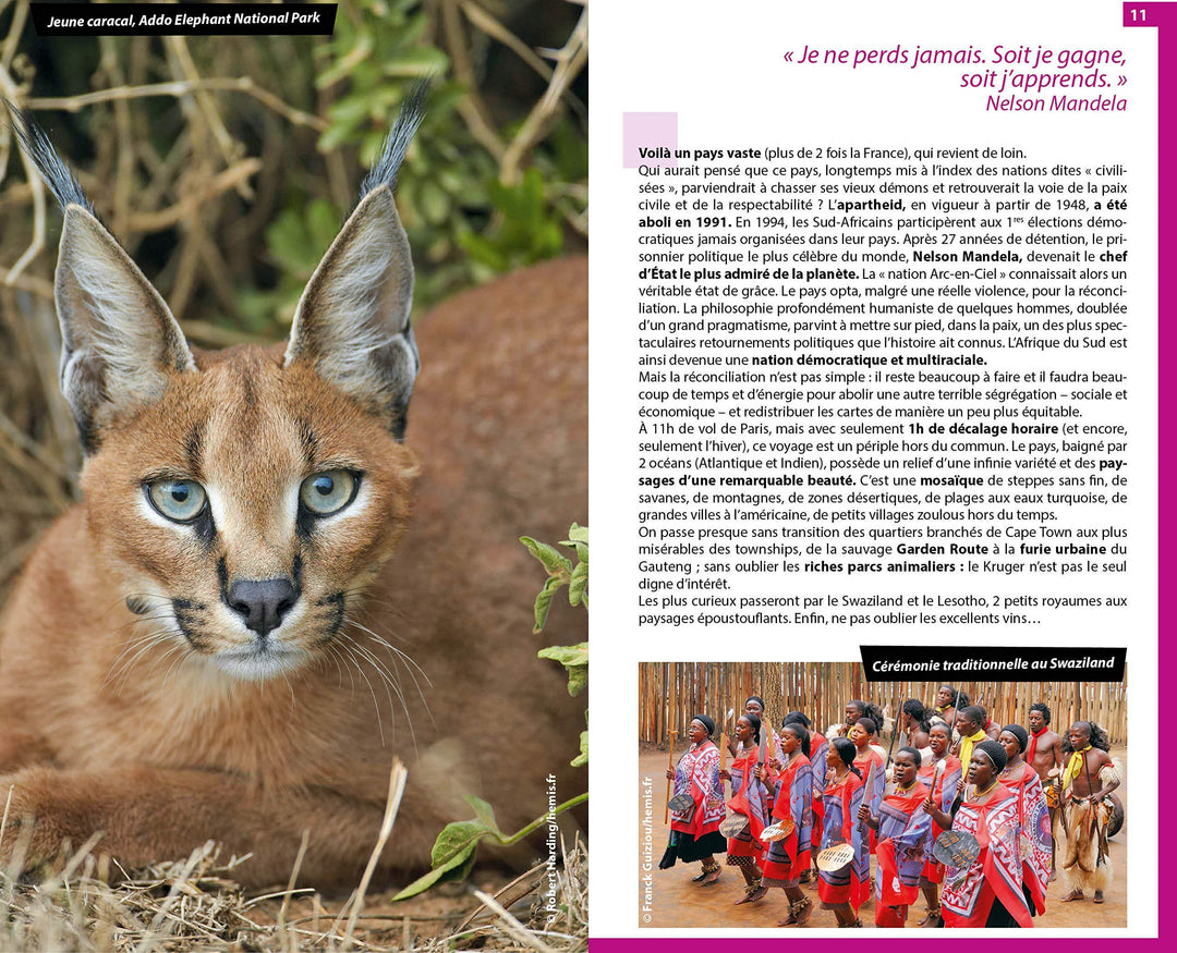 Guide du Routard - Afrique du Sud, Lesotho, Swaziland 2020 | Hachette guide de voyage Hachette 