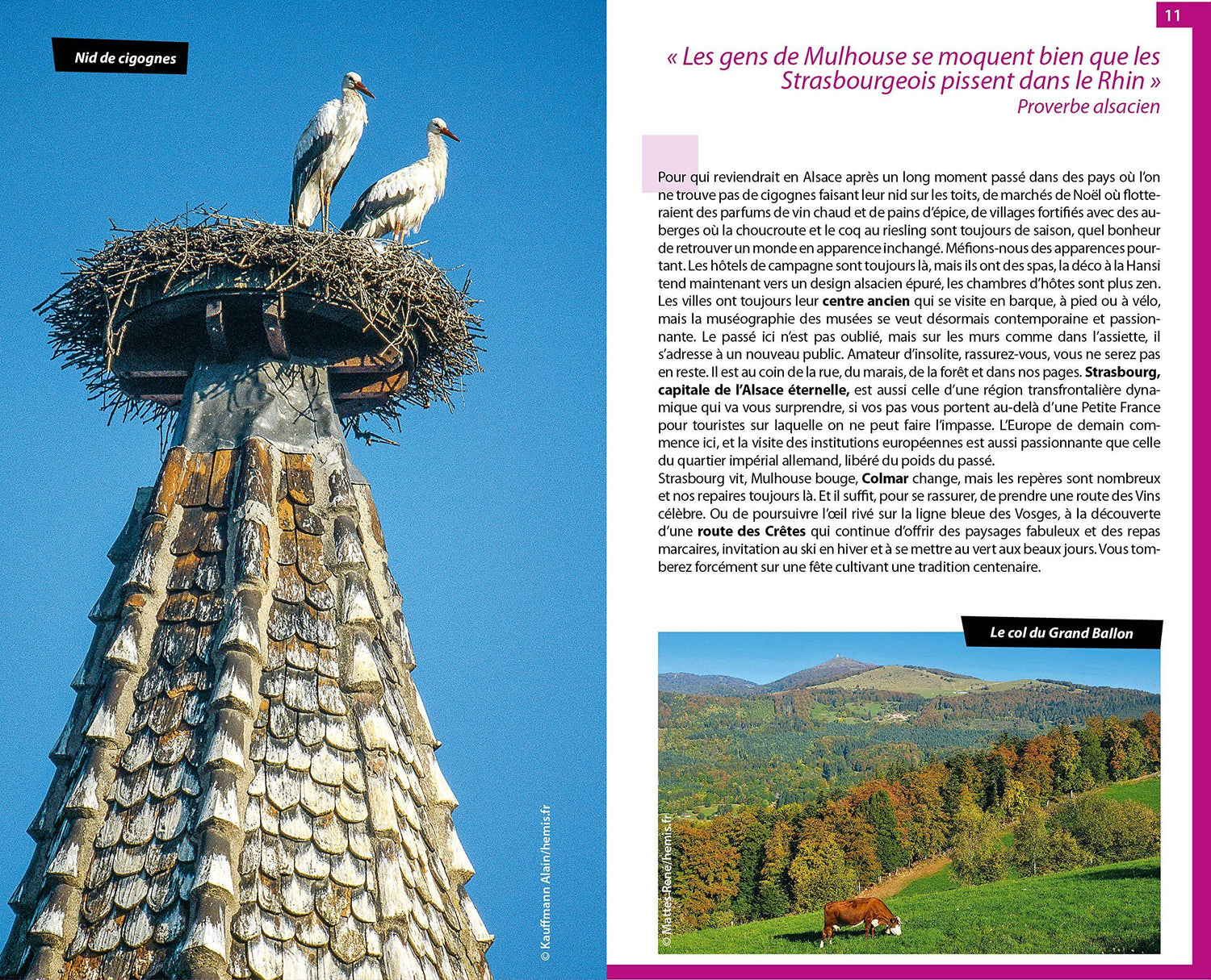 Guide du Routard - Alsace 2026/27 | Hachette guide de voyage Hachette