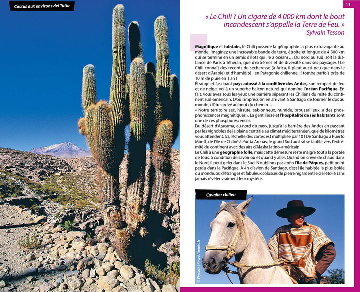 Guide du Routard - Chili & Ile de Pâques 2020/21 | Hachette guide de voyage Hachette 