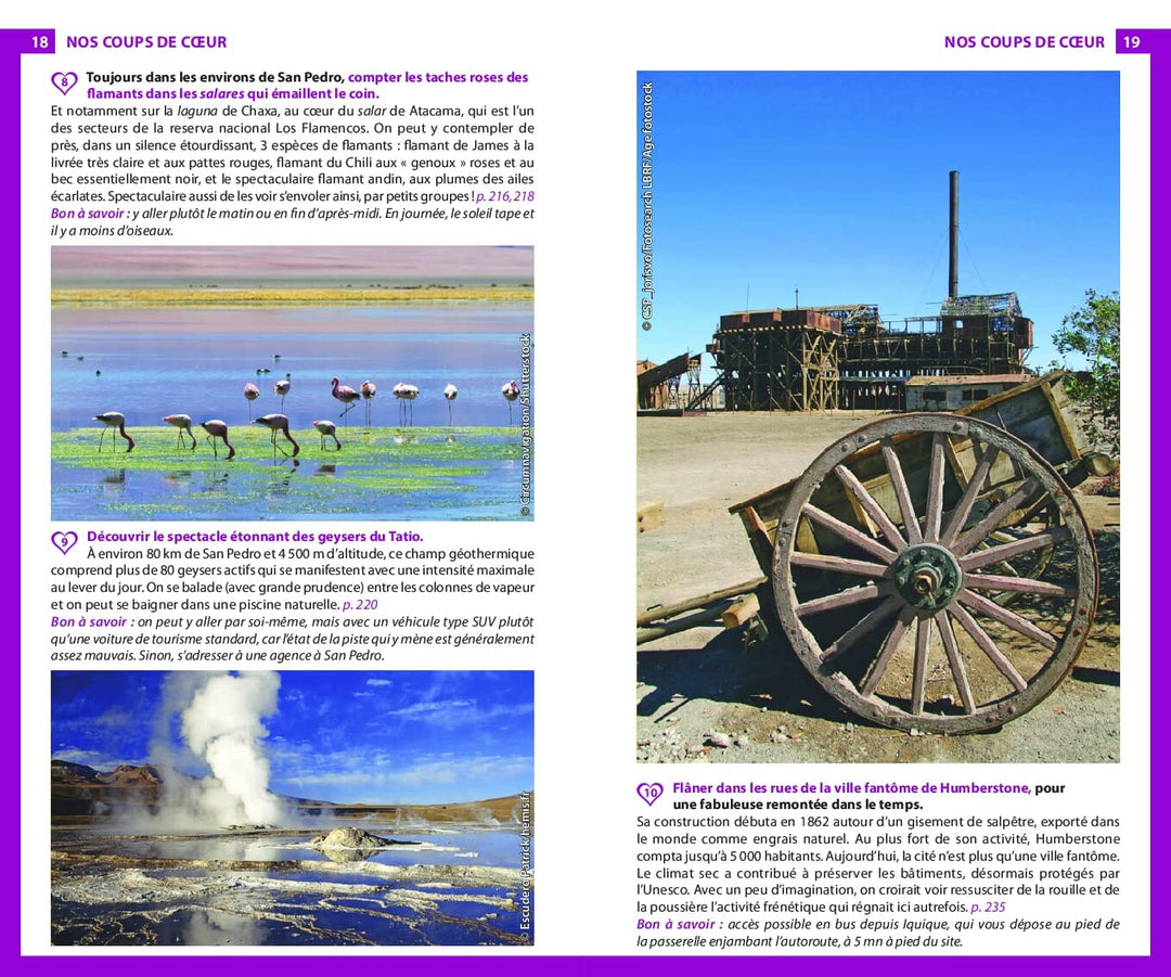 Guide du Routard - Chili & Ile de Pâques 2023/24 | Hachette guide de voyage Hachette 