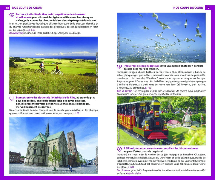 Guide du Routard - Danemark & Suède 2023/24 | Hachette guide de voyage Hachette 