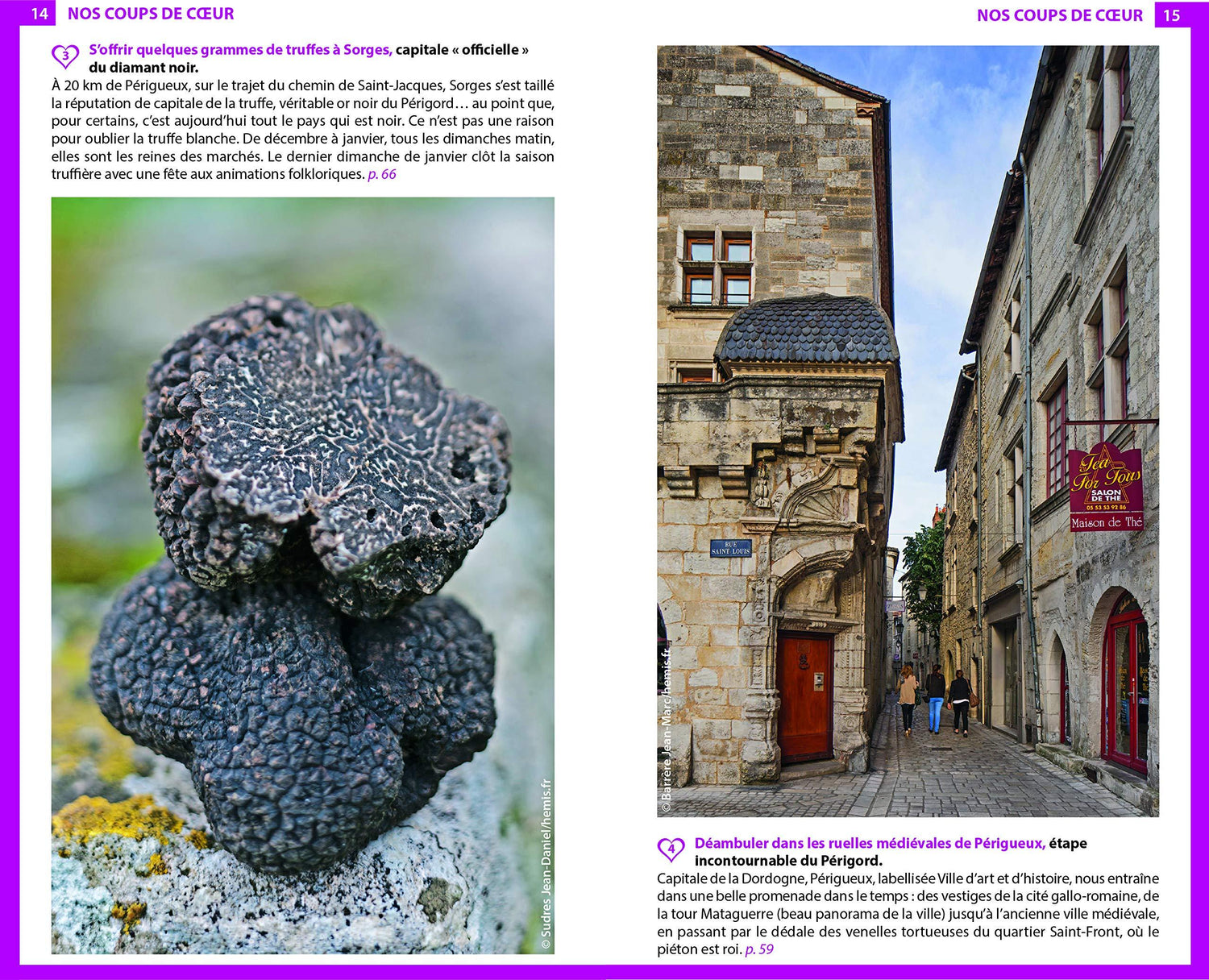 Guide du Routard - Dordogne, Périgord 2024/25 | Hachette guide de voyage Hachette