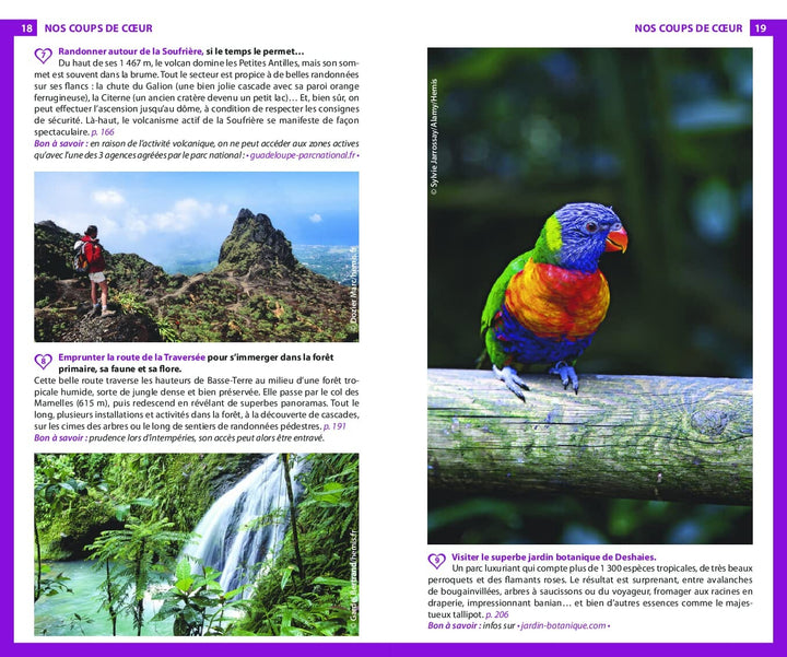 Guide du Routard - Guadeloupe, Saint-Martin, Saint-Barthélemy 2023/24 | Hachette guide de voyage Hachette 