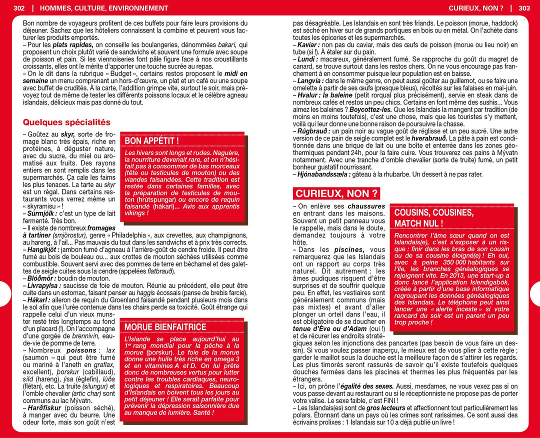 Guide du Routard - Islande 2020/21 | Hachette guide de voyage Hachette 