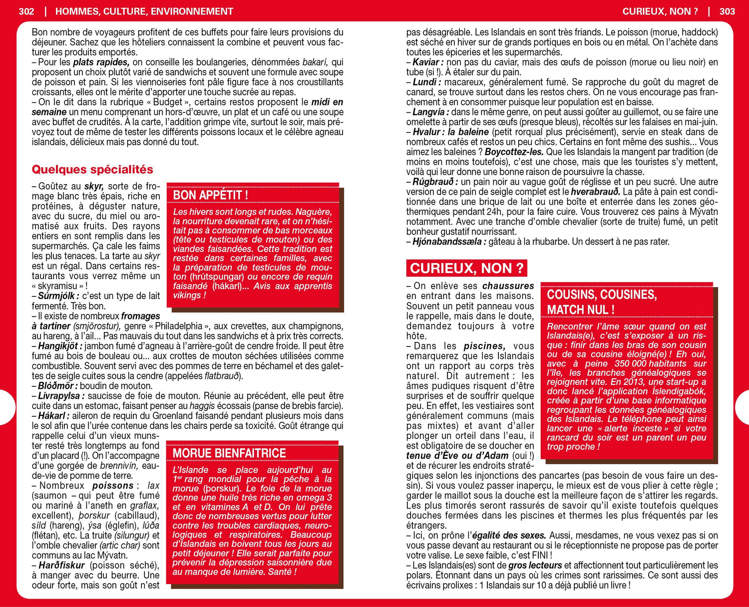 Guide du Routard - Islande 2025/26 | Hachette guide de voyage Hachette