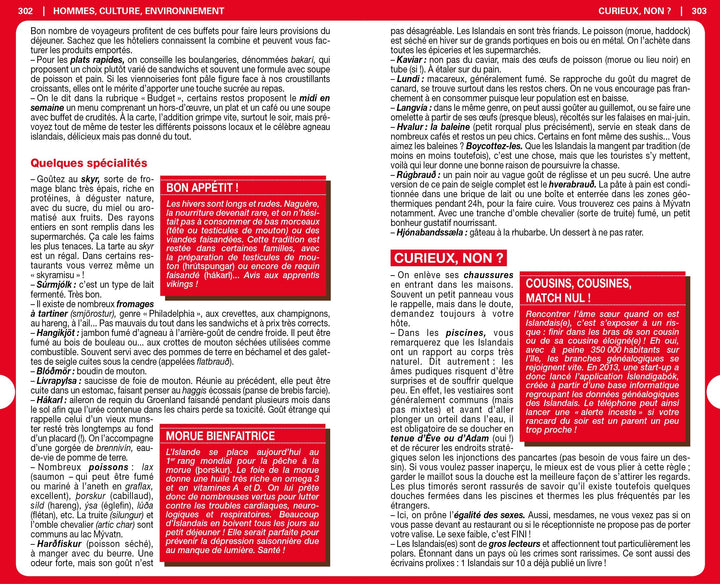 Guide du Routard - Islande 2020/21 | Hachette guide de voyage Hachette 