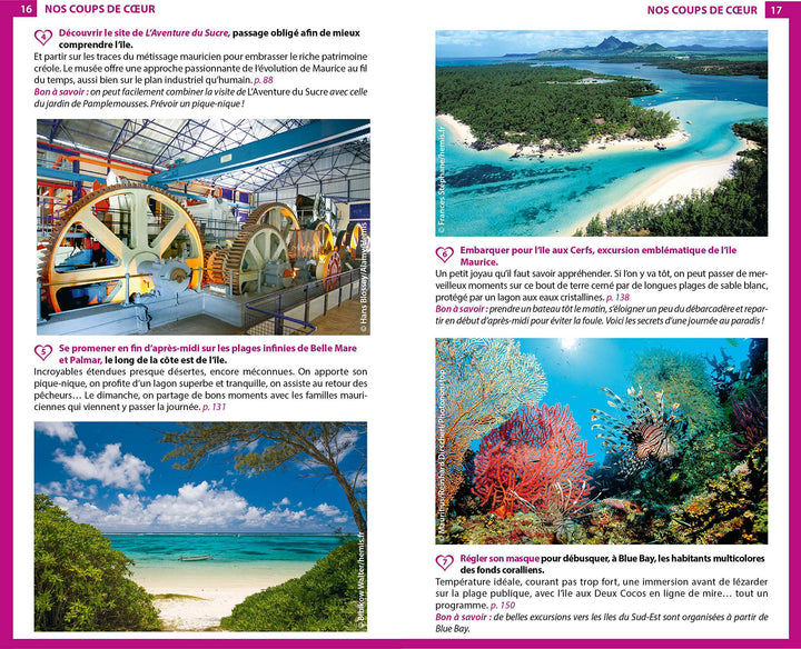 Guide du Routard - Maurice & Rodrigues 2020 | Hachette guide de voyage Hachette 