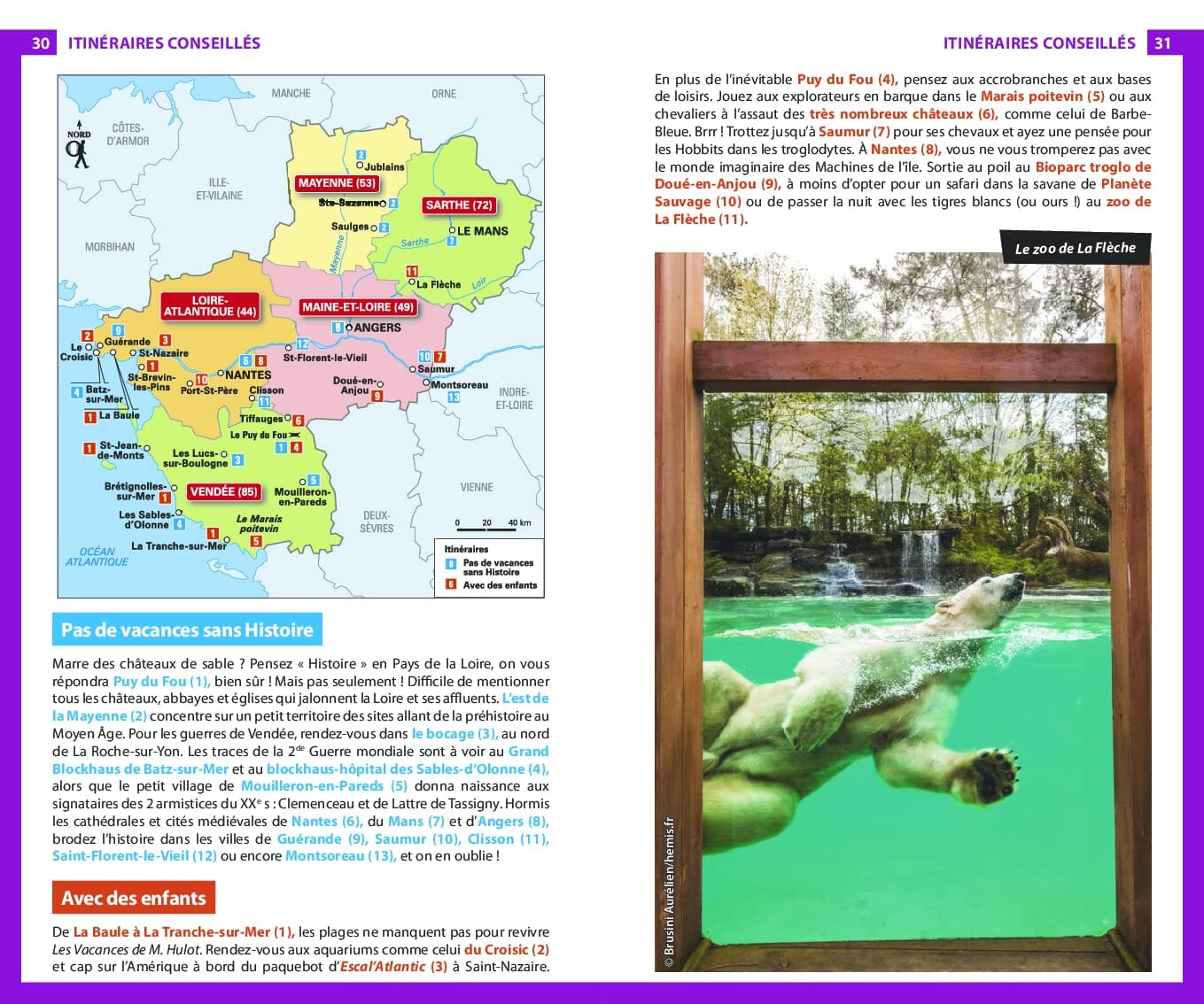 Guide du Routard - Pays de la Loire 2025/26 | Hachette guide de voyage Hachette