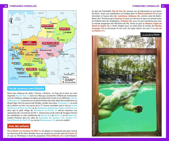 Guide du Routard - Pays de la Loire 2023/24 | Hachette guide de voyage Hachette 