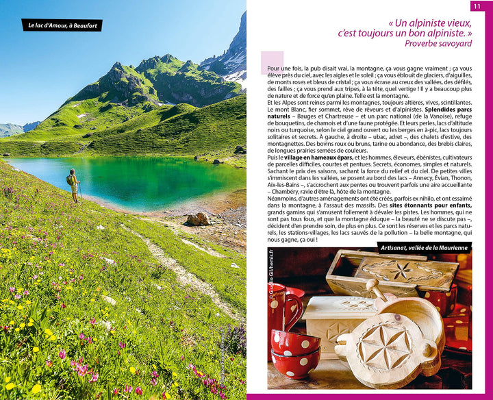 Guide du Routard - Savoie, Mont-Blanc 2020/21 | Hachette guide de voyage Hachette 