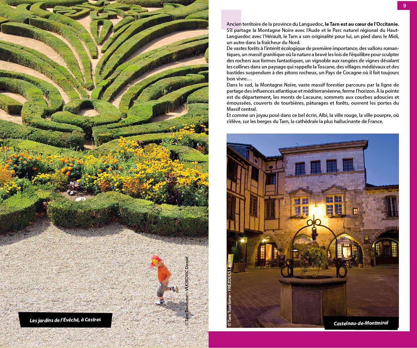 Guide du Routard - Tarn : nature et patrimoine - Édition 2021 | Hachette guide de voyage Hachette 