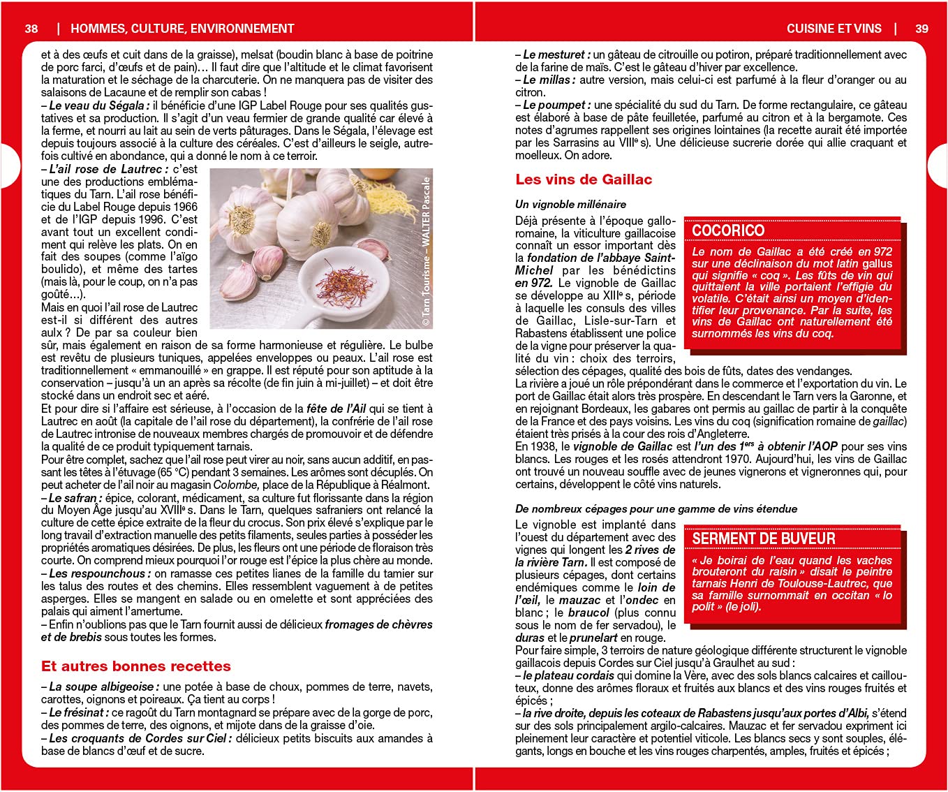 Guide du Routard - Tarn : nature et patrimoine - Édition 2021 | Hachette guide de voyage Hachette 