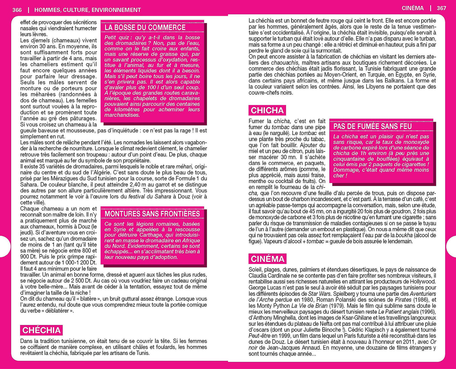 Guide du Routard - Tunisie 2025/26 | Hachette guide de voyage Hachette