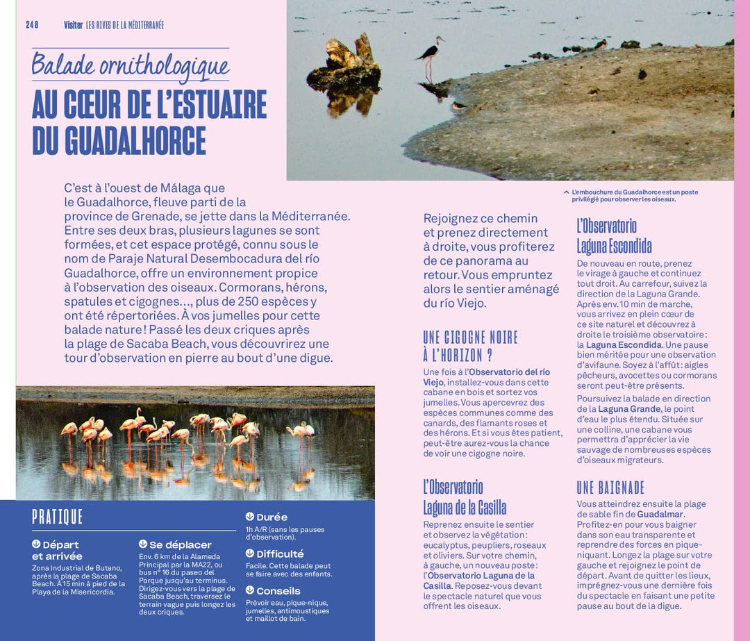 Guide Evasion - Andalousie - Édition 2022 | Hachette guide de voyage Hachette 