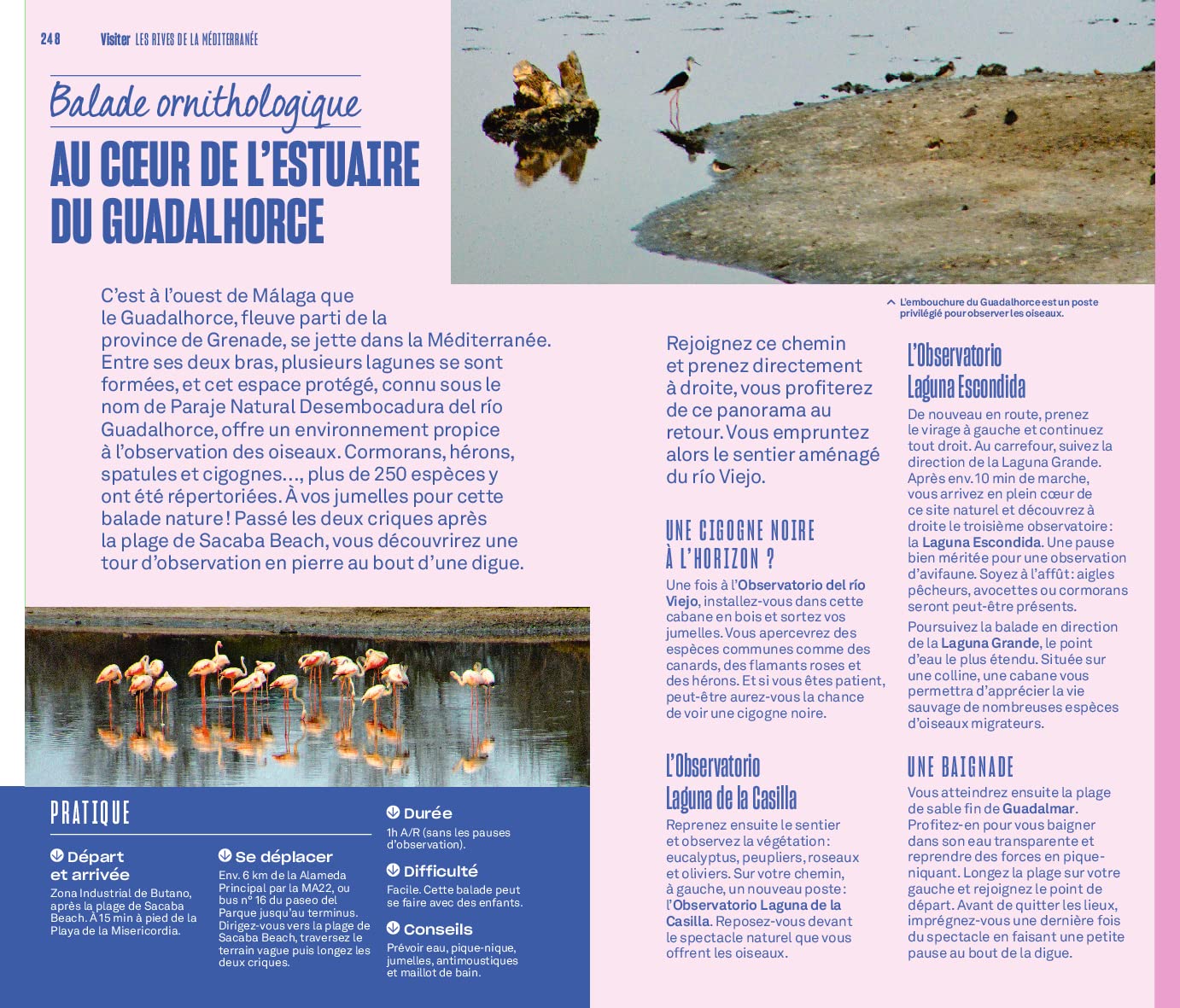 Guide Evasion - Andalousie - Édition 2025 | Hachette guide de voyage Hachette