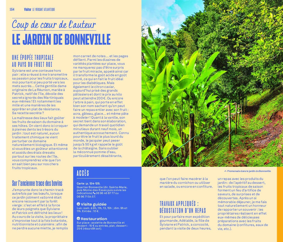 Guide Evasion - Martinique - Édition 2023 | Hachette guide de voyage Hachette 