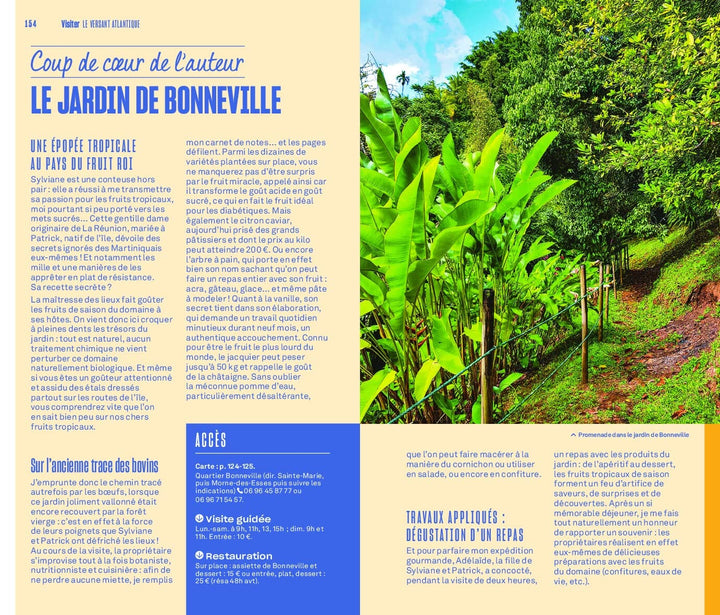 Guide Evasion - Martinique - Édition 2023 | Hachette guide de voyage Hachette 