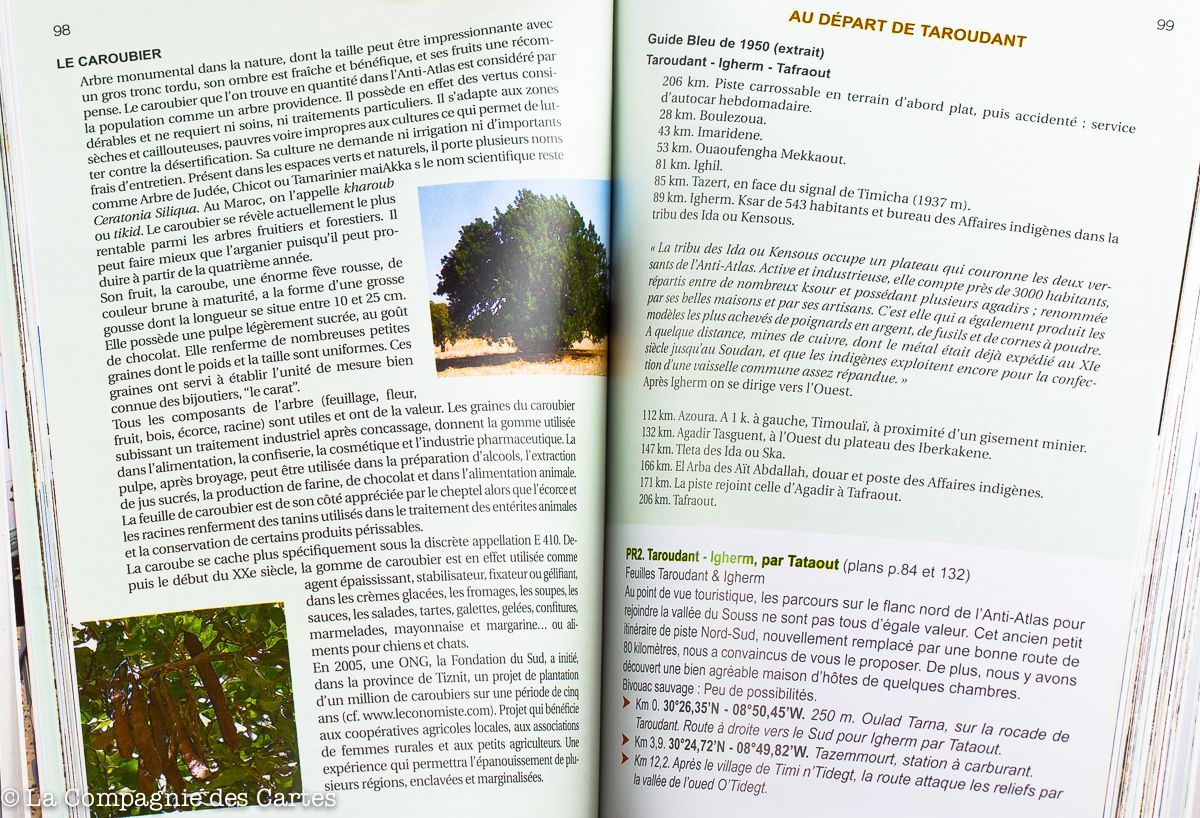 Guide Gandini - Pistes de l'Anti-Atlas (Maroc) - Tome 7 guide de voyage Extrem'Sud - Guides Gandini