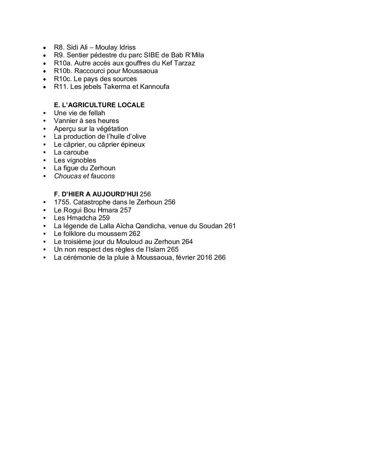 Guide Gandini - Pistes du Maroc : Le Zerhoun - Volubilis & Moulay Idriss - Tome 10 guide de voyage Extrem'Sud - Guides Gandini 