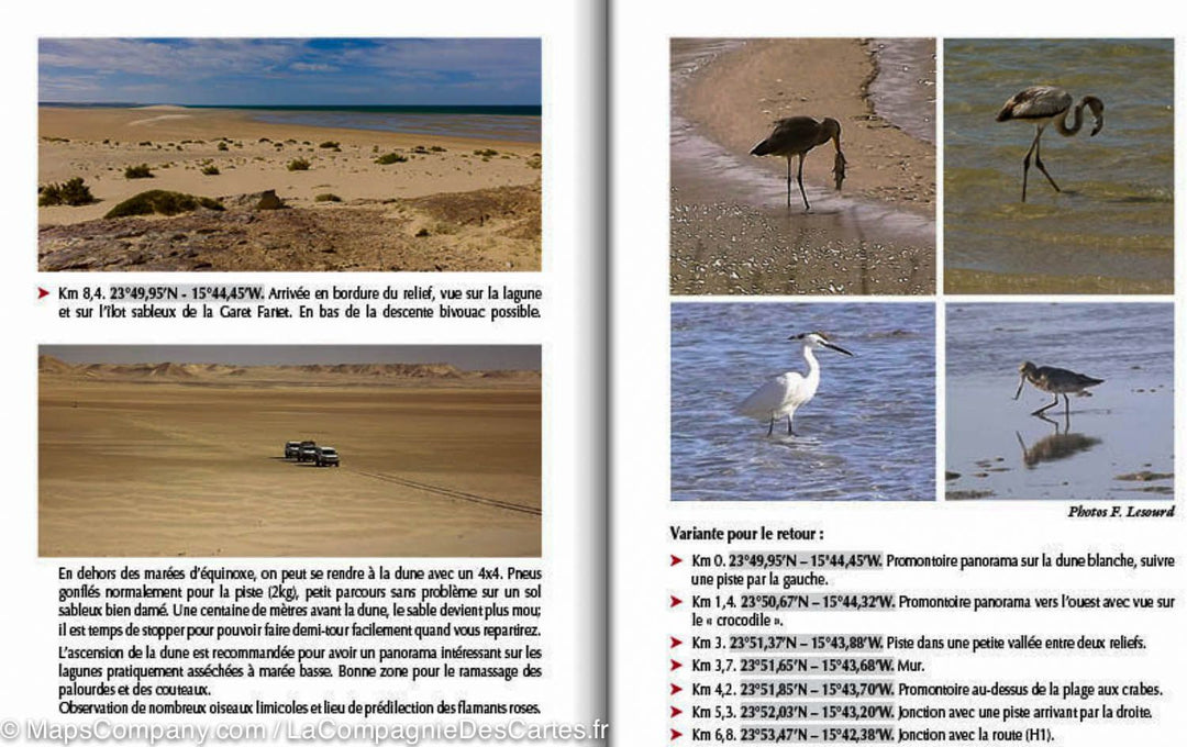 Guide Gandini - Pistes du sud du Maroc : Le Sahara Atlantique - Tome 6 - La Compagnie des Cartes