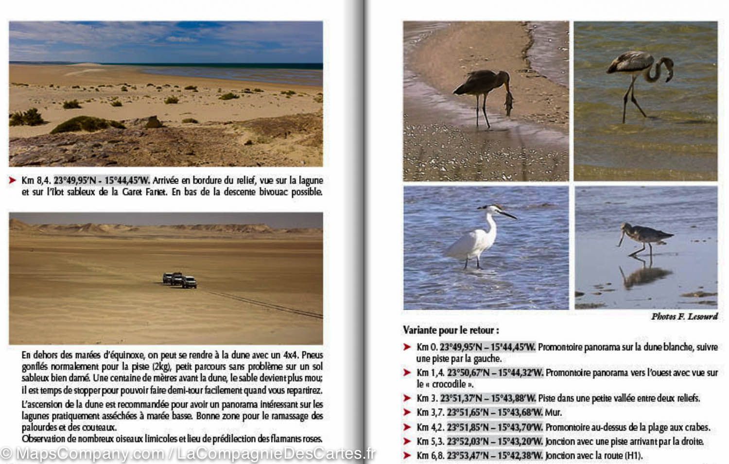 Guide Gandini - Pistes du sud du Maroc : Le Sahara Atlantique - Tome 6 guide de voyage Extrem'Sud - Guides Gandini