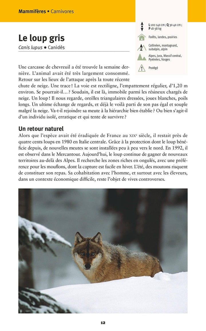 Guide pratique - Faune et flore de nos montagnes | Glénat guide pratique Glénat 