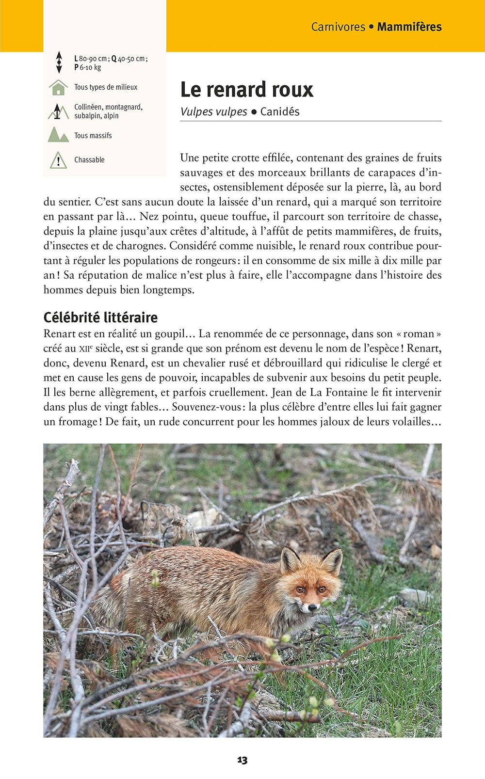 Guide pratique - Faune et flore de nos montagnes | Glénat guide pratique Glénat 