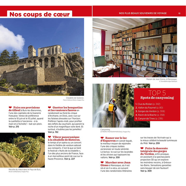 Guide Vert - Alpes du Sud : Hautes-Alpes, Alpes-de-Haute-Provence - Édition 2023 | Michelin guide de voyage Michelin 