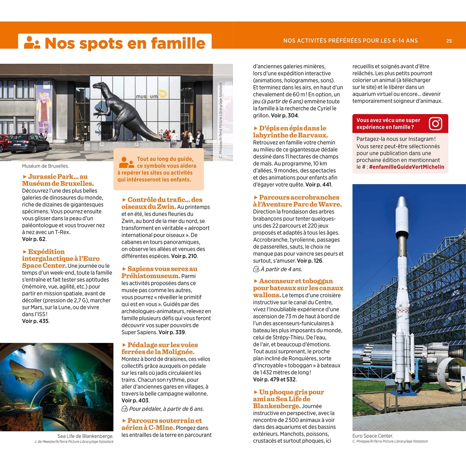 Guide Vert - Belgique - Édition 2025 | Michelin guide de voyage Michelin