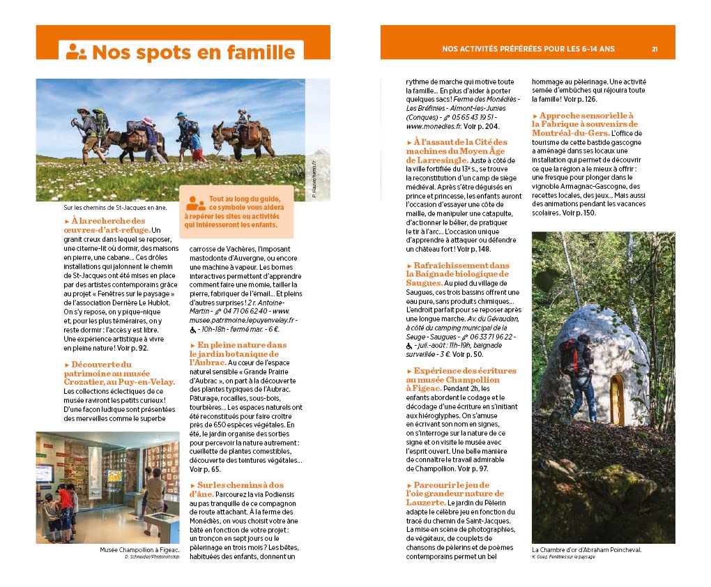 Guide Vert - Chemin de Saint-Jacques-de-Compostelle : Du Puy-en-Velay à saint-Jean-Pied-de-Port - Édition 2024 | Michelin guide de voyage Michelin