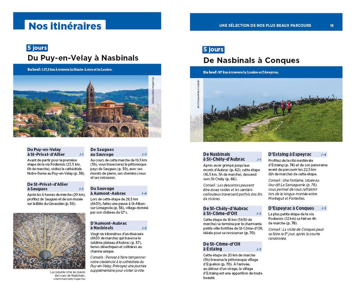 Guide Vert - Chemin de Saint-Jacques-de-Compostelle : Du Puy-en-Velay à saint-Jean-Pied-de-Port - Édition 2022 | Michelin guide de voyage Michelin 