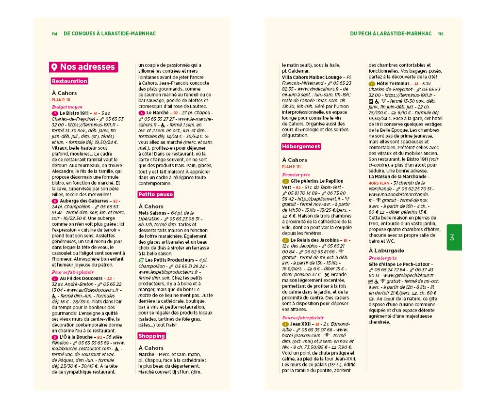 Guide Vert - Chemin de Saint-Jacques-de-Compostelle : Du Puy-en-Velay à saint-Jean-Pied-de-Port - Édition 2024 | Michelin guide de voyage Michelin
