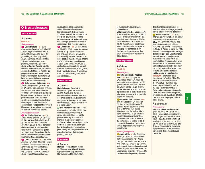 Guide Vert - Chemin de Saint-Jacques-de-Compostelle : Du Puy-en-Velay à saint-Jean-Pied-de-Port - Édition 2022 | Michelin guide de voyage Michelin 