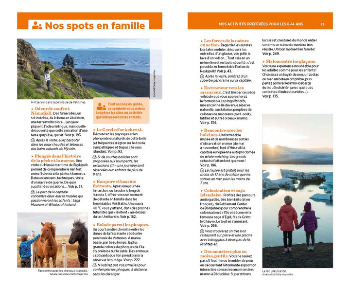 Guide Vert - Islande - Édition 2022 | Michelin guide de voyage Michelin 