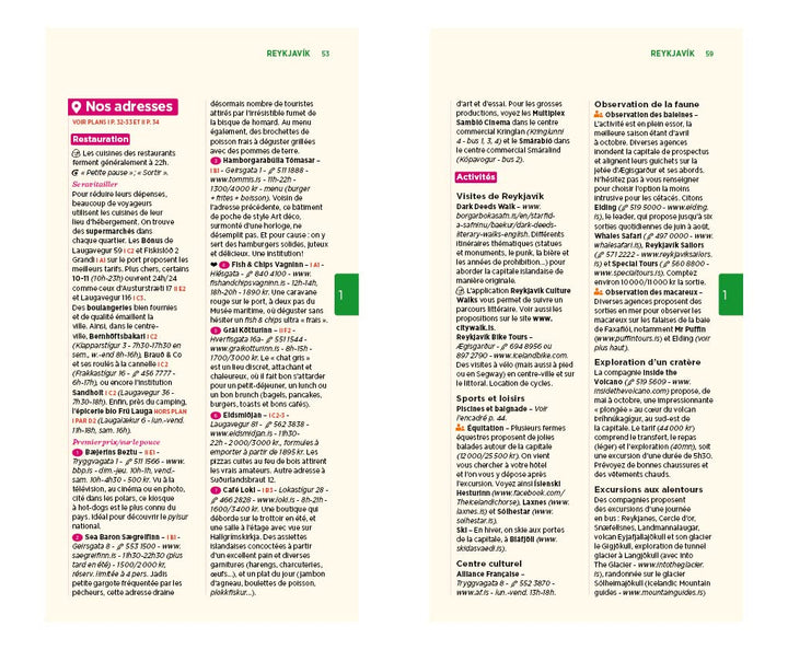 Guide Vert - Islande - Édition 2022 | Michelin guide de voyage Michelin 