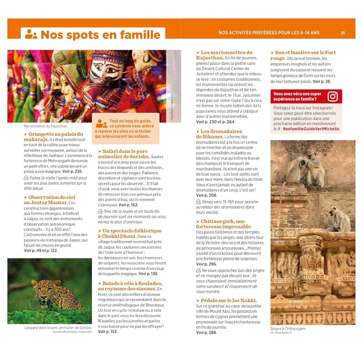 Guide Vert - Rajasthan, Delhi et Agra - Édition 2023 | Michelin guide de voyage Michelin 