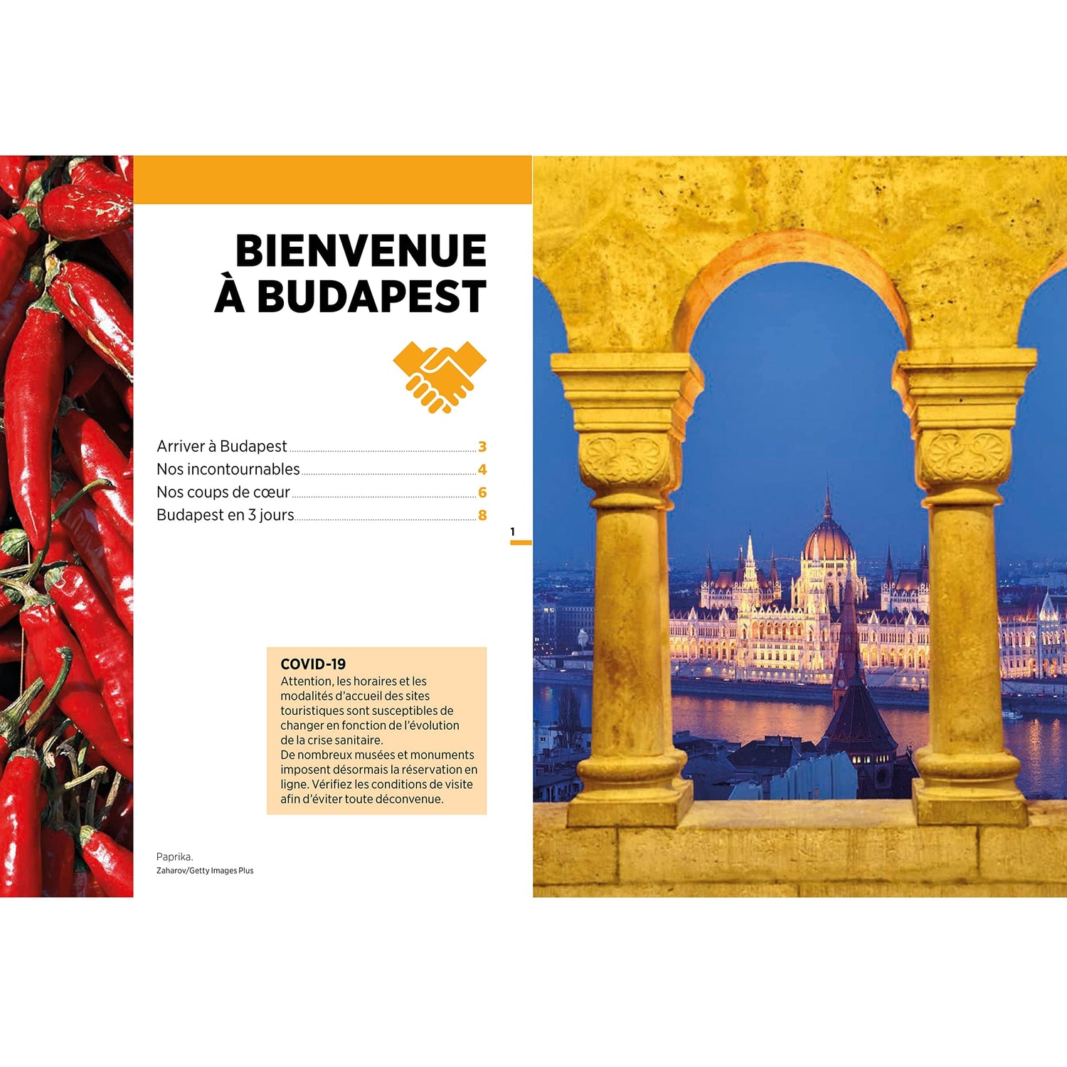 Guide Vert compact - Budapest - Édition 2025 | Michelin guide de voyage Michelin