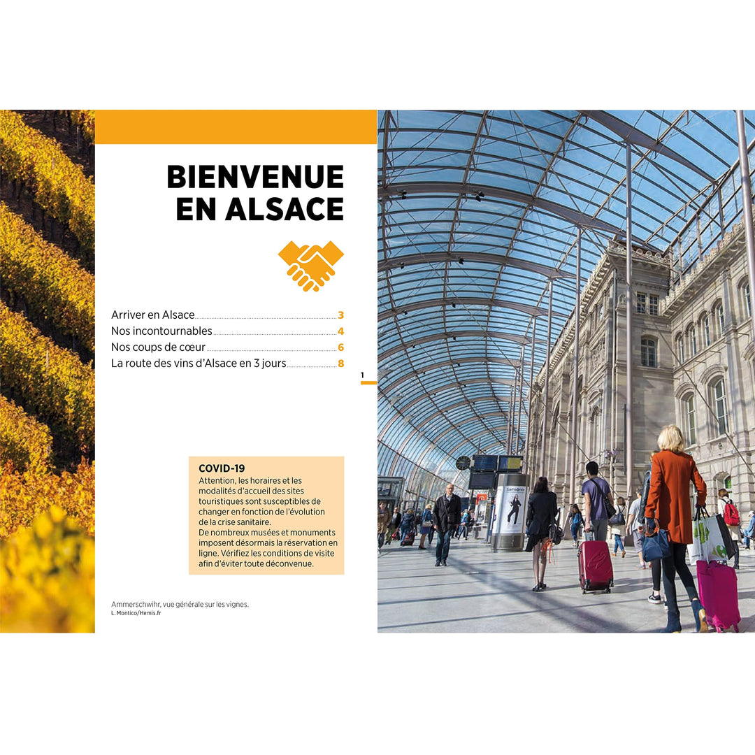 Guide Vert Week & GO - la Route des vins d'Alsace - Édition 2023 | Michelin guide petit format Michelin 