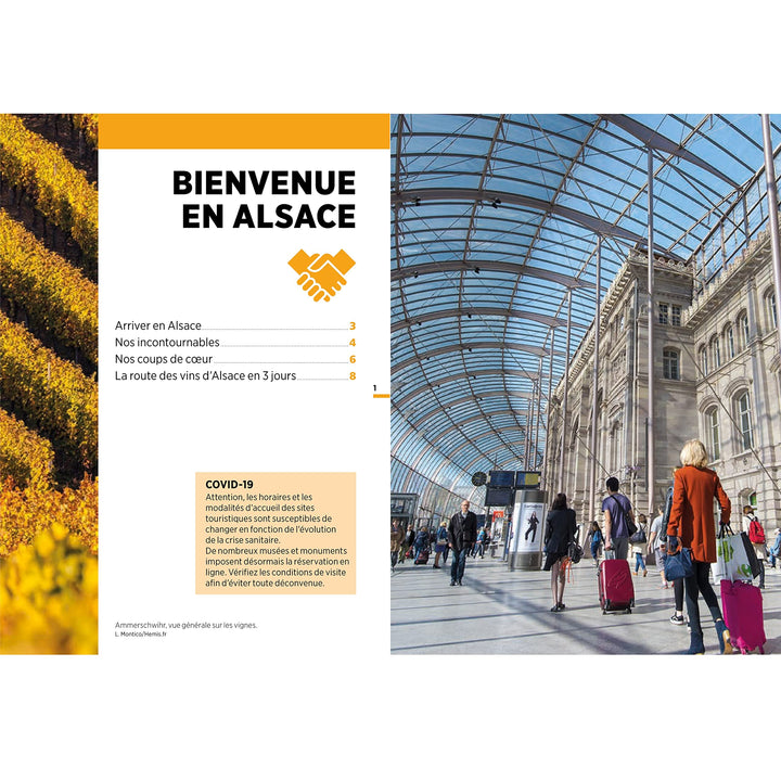 Guide Vert Week & GO - la Route des vins d'Alsace - Édition 2023 | Michelin guide petit format Michelin 