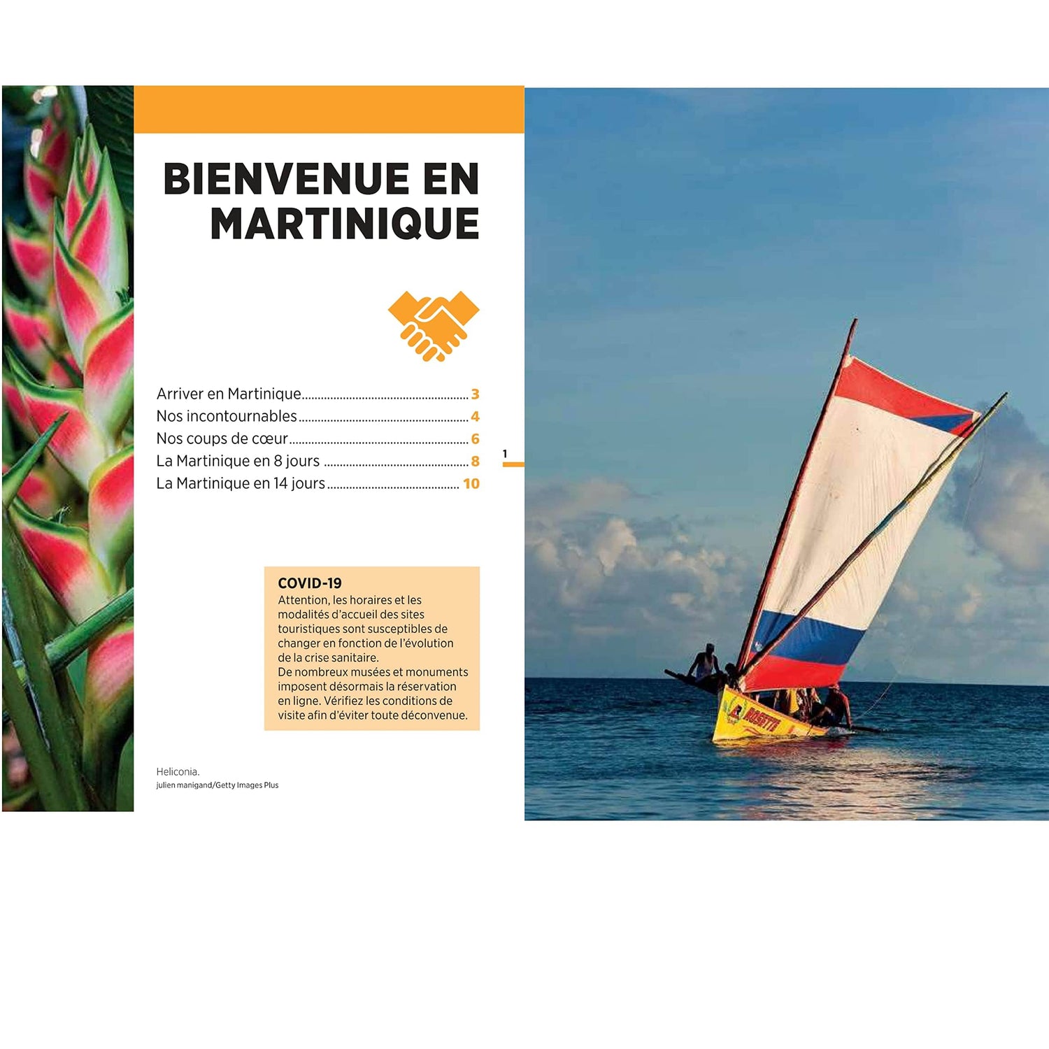 Guide Vert compact - Martinique - Édition 2024 | Michelin guide de voyage Michelin