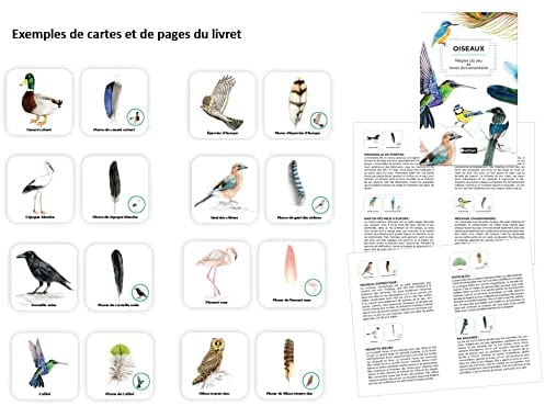 Jeu Memory - Mémo des oiseaux, à partir de 4 ans jeu Interforum 