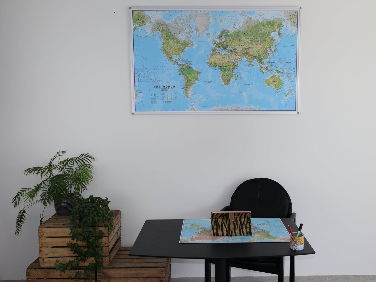 Panneau épinglable (en anglais) - Monde environnemental - 136 x 86 cm | Maps International panneau épinglable Maps International 