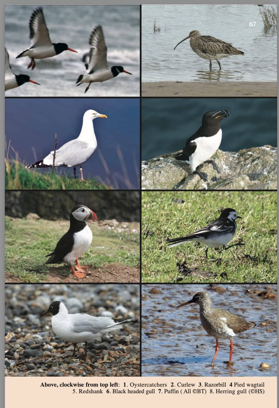 Topoguide de randonnées (en anglais) - Dorset & South Devon | Trailblazer guide de randonnée Trailblazer 