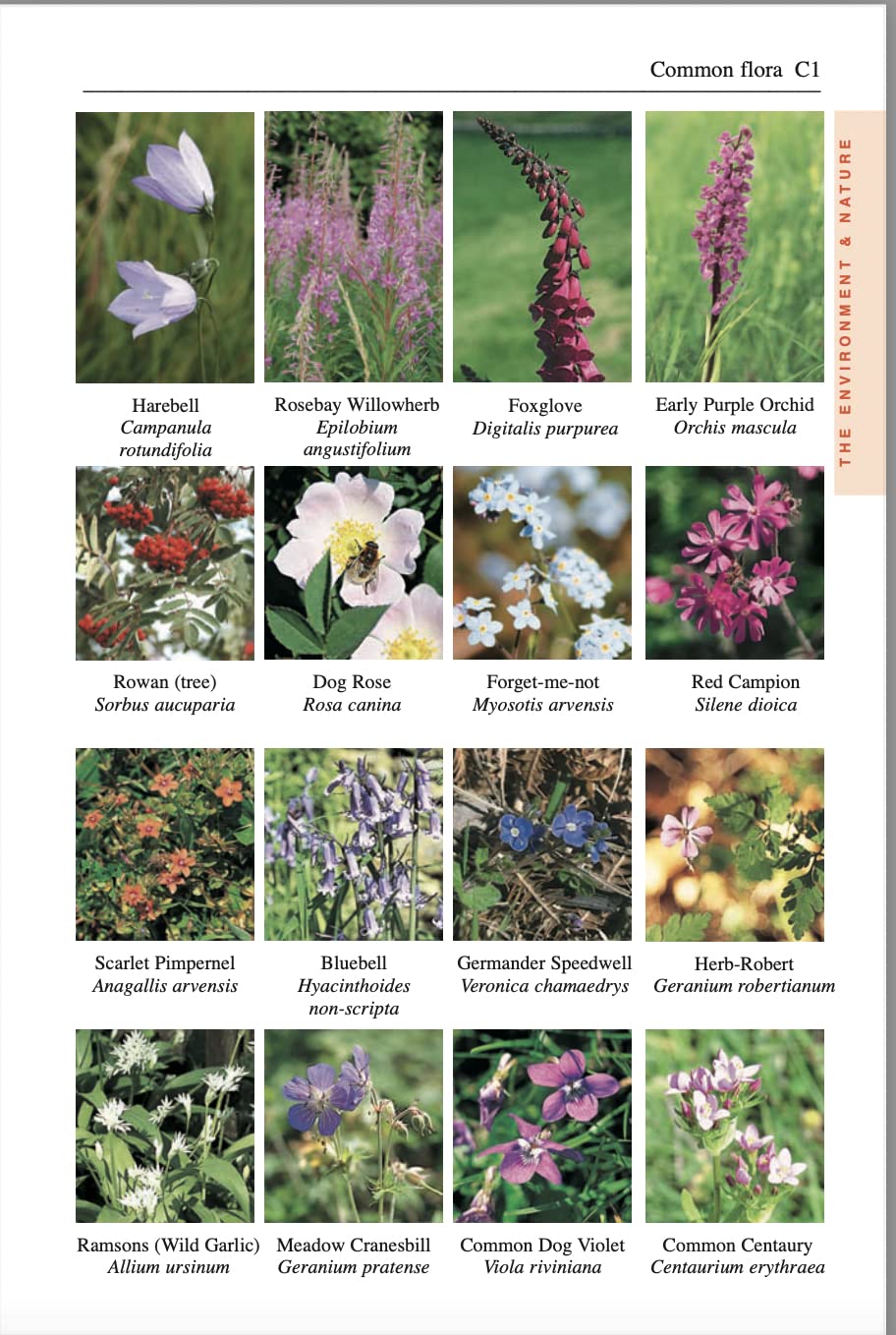 Topoguide de randonnées (en anglais) - Exmoor & North Devon Coast Path | Trailblazer guide de randonnée Trailblazer 