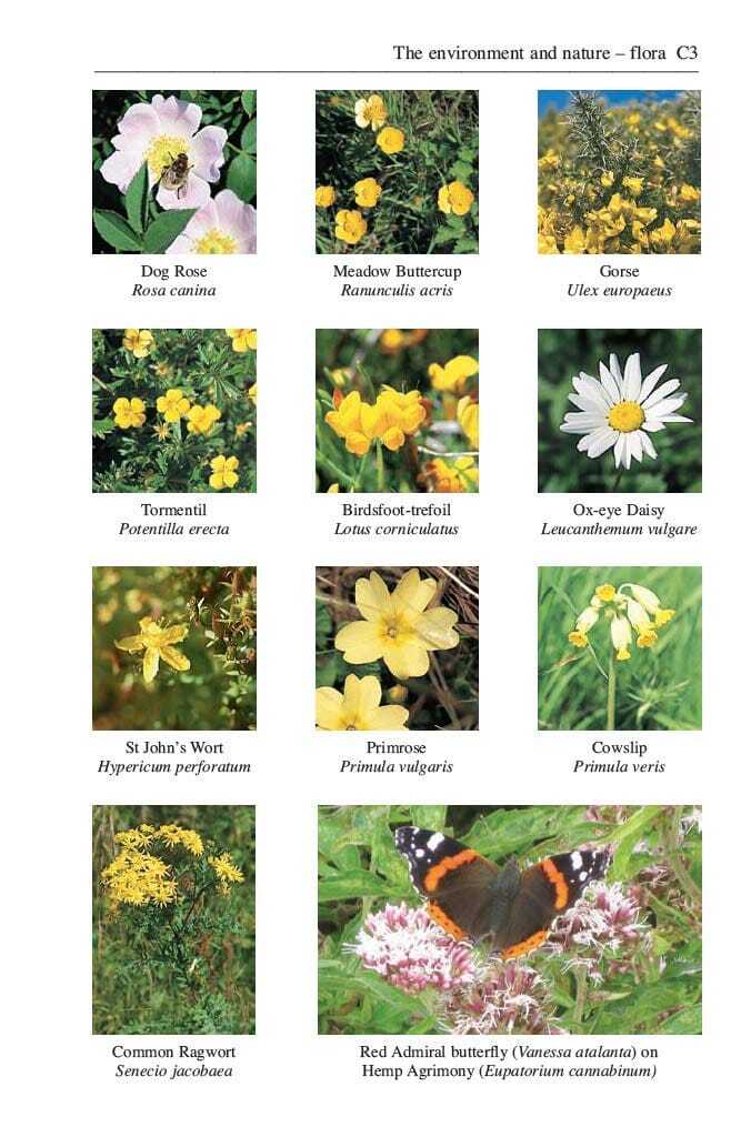 Topoguide de randonnées (en anglais) - North Downs Way | Trailblazer guide de randonnée Trailblazer